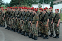 50_jahre_pzbrig_14_040