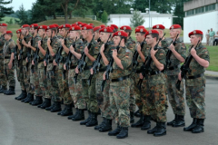 50_jahre_pzbrig_14_041