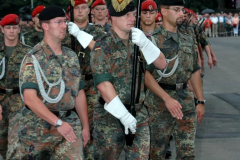 50_jahre_pzbrig_14_045
