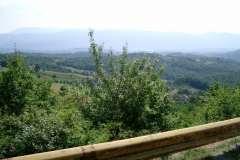Bobbahn-2