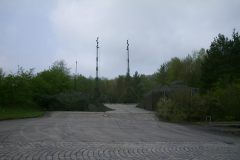 springendes-Ross-2002-103