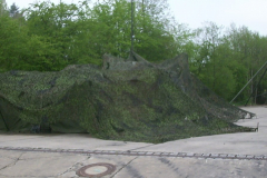 springendes-Ross-2002-105