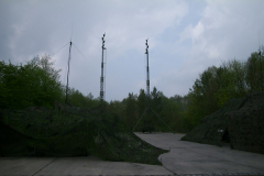 springendes-Ross-2002-109