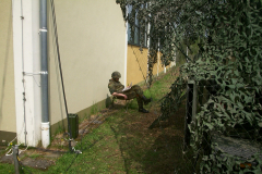 springendes-Ross-2002-110