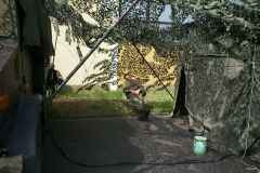 springendes-Ross-2002-111