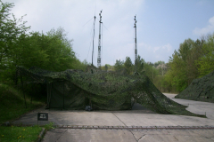 springendes-Ross-2002-112
