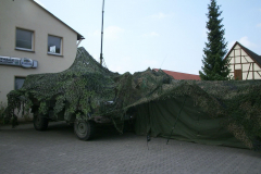 springendes-Ross-2002-14