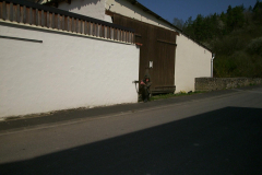 springendes-Ross-2002-36