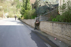 springendes-Ross-2002-37