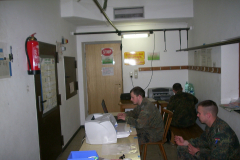 springendes-Ross-2002-54