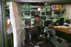 springendes-Ross-2002-86