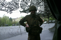 springendes-Ross-2002-87