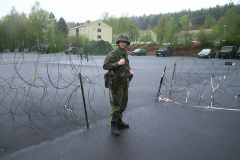 springendes-Ross-2002-88