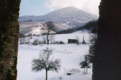 Blick-aus-Fenster