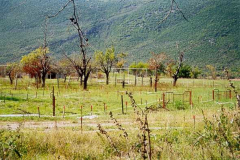 Minenfeld