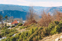 Landschaft