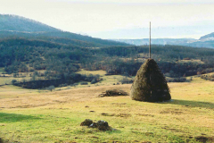 Landschaft2