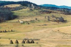 Landschaft3