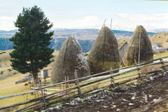 Landschaft4