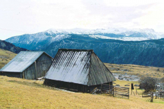 Landschaft7