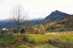 Landschaft9