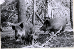 pzgrenbtl62_oberst_zank_022