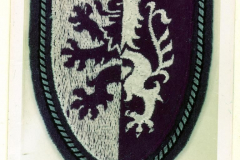 pzgrenbtl62_oberst_zank_088
